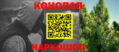 прущие грибы Бугуруслан